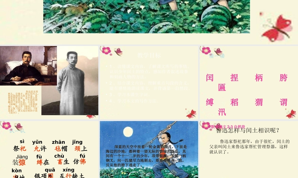 五年级语文下册 第6单元 26《少年闰土》课件2 语文S版-语文S版小学五年级下册语文课件