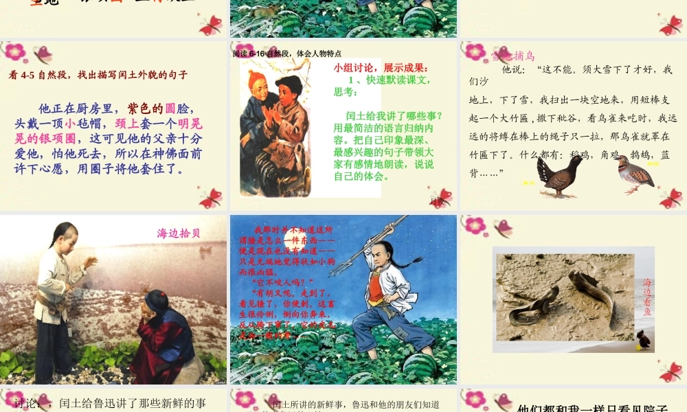 五年级语文下册 第6单元 26《少年闰土》课件2 语文S版-语文S版小学五年级下册语文课件