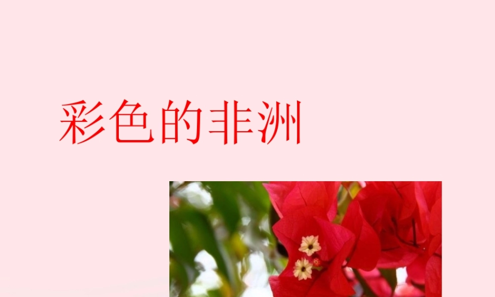 五年级语文下册 第八组 28 彩色的非洲课件4 新人教版-新人教版小学五年级下册语文课件