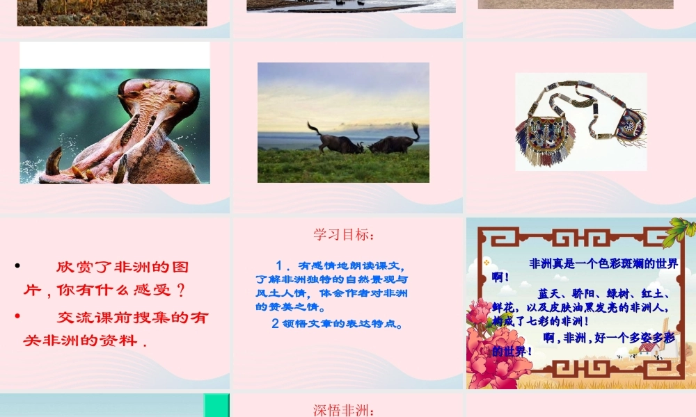 五年级语文下册 第八组 28 彩色的非洲课件4 新人教版-新人教版小学五年级下册语文课件
