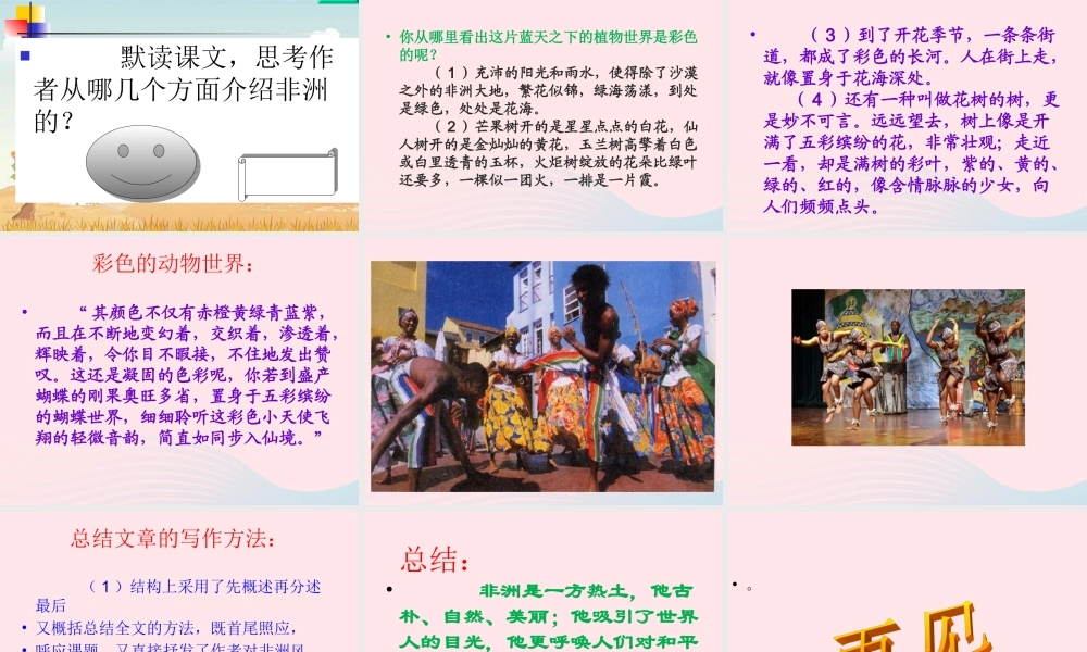 五年级语文下册 第八组 28 彩色的非洲课件4 新人教版-新人教版小学五年级下册语文课件