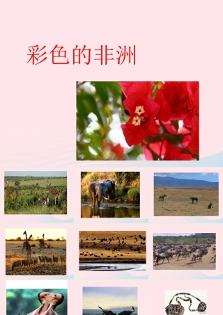 五年级语文下册 第八组 28 彩色的非洲课件4 新人教版-新人教版小学五年级下册语文课件