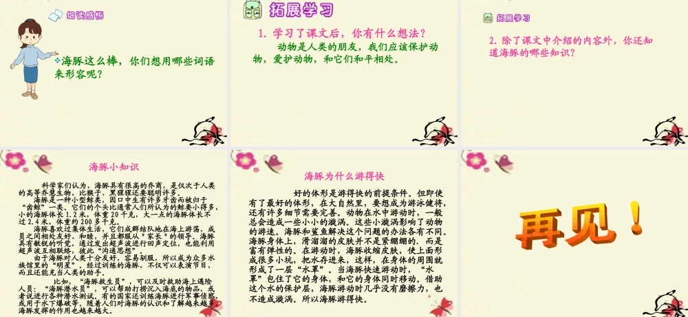 五年级语文下册 第2单元 8《海豚救人》课件5 语文S版-语文S版小学五年级下册语文课件