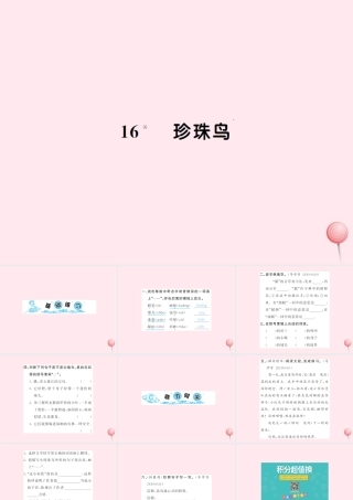 五年级语文上册 第四组 16珍珠鸟习题课件 新人教版-新人教版小学五年级上册语文课件