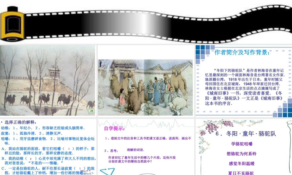 五年级语文下册 第二组 6  骆驼队课件3 新人教版-新人教级下册语文课件