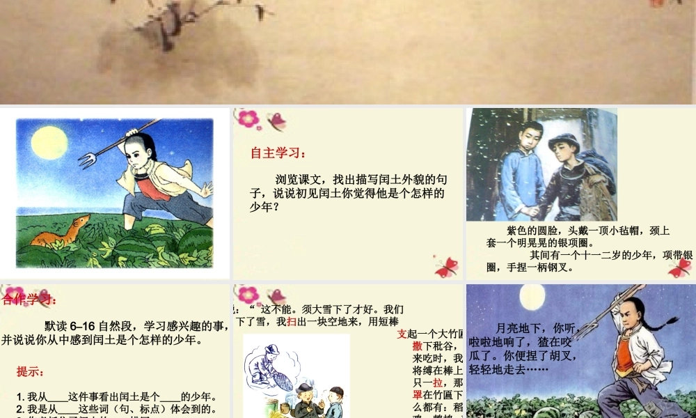 五年级语文下册 第6单元 26《少年闰土》课件3 语文S版-语文S版小学五年级下册语文课件