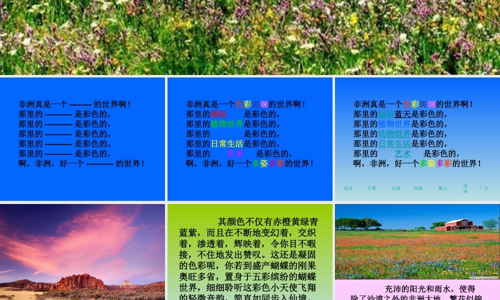 五年级语文下册 第八组 28 彩色的非洲课件5 新人教版-新人教版小学五年级下册语文课件