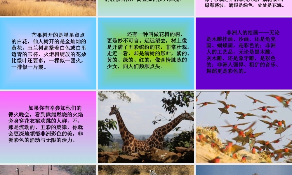 五年级语文下册 第八组 28 彩色的非洲课件5 新人教版-新人教版小学五年级下册语文课件
