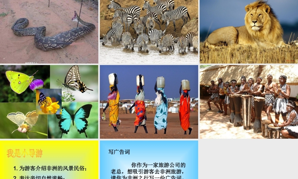 五年级语文下册 第八组 28 彩色的非洲课件5 新人教版-新人教版小学五年级下册语文课件