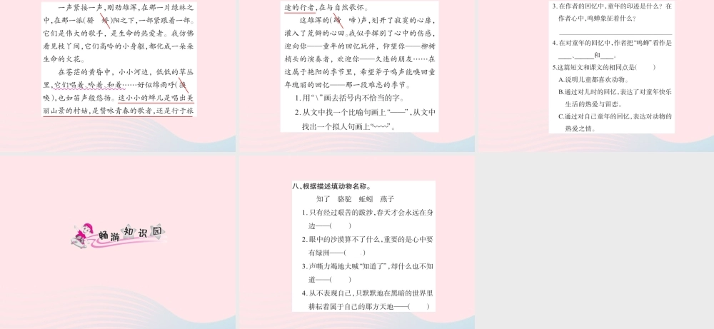 五年级语文下册 第二组 6  骆驼队习题课件 新人教版-新人教级下册语文课件