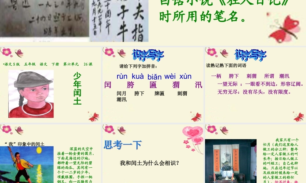 五年级语文下册 第6单元 26《少年闰土》课件4 语文S版-语文S版小学五年级下册语文课件