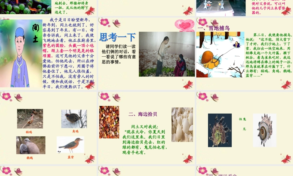 五年级语文下册 第6单元 26《少年闰土》课件4 语文S版-语文S版小学五年级下册语文课件