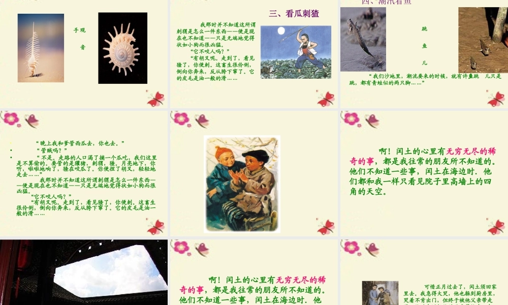 五年级语文下册 第6单元 26《少年闰土》课件4 语文S版-语文S版小学五年级下册语文课件