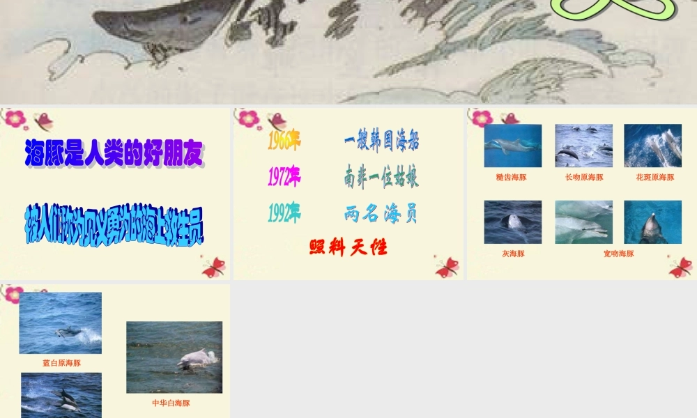 五年级语文下册 第2单元 8《海豚救人》课件7 语文S版-语文S版小学五年级下册语文课件