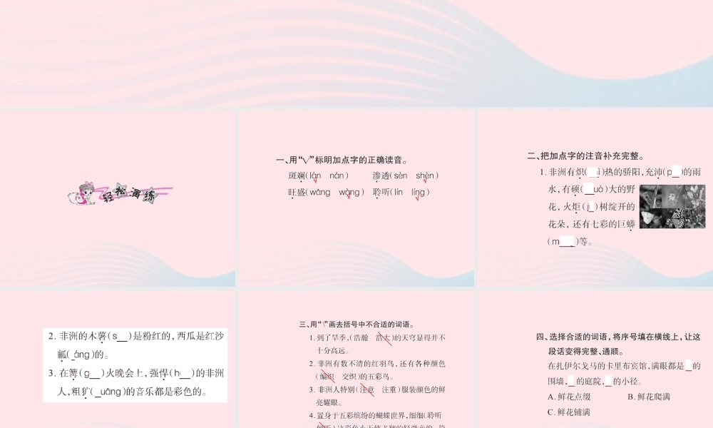 五年级语文下册 第八组 28 彩色的非洲习题课件 新人教版-新人教版小学五年级下册语文课件