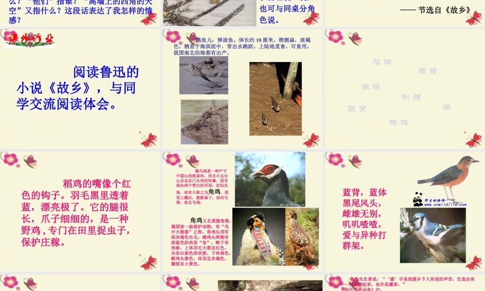 五年级语文下册 第6单元 26《少年闰土》课件5 语文S版-语文S版小学五年级下册语文课件