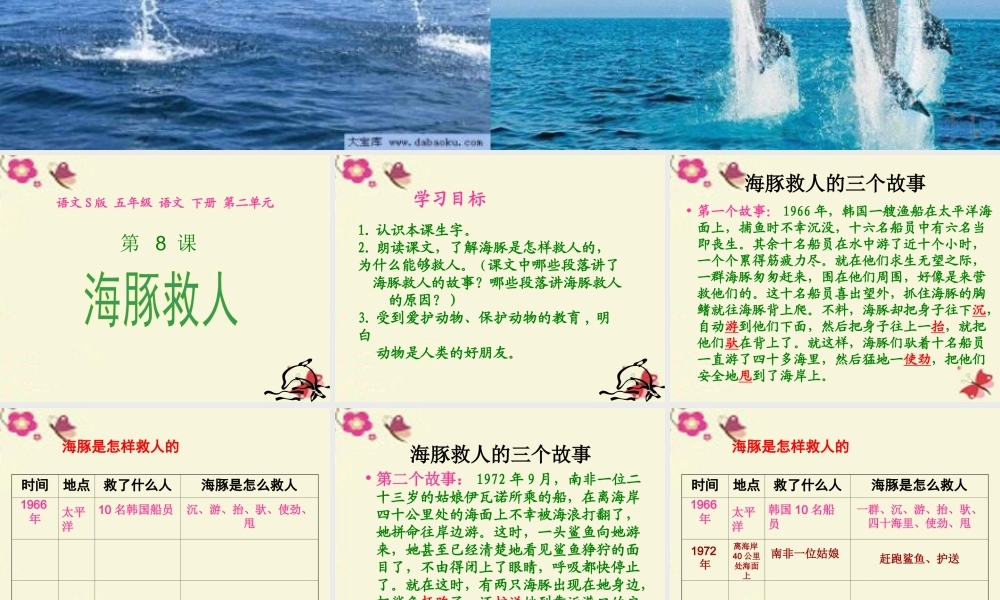 五年级语文下册 第2单元 8《海豚救人》课件8 语文S版-语文S版小学五年级下册语文课件