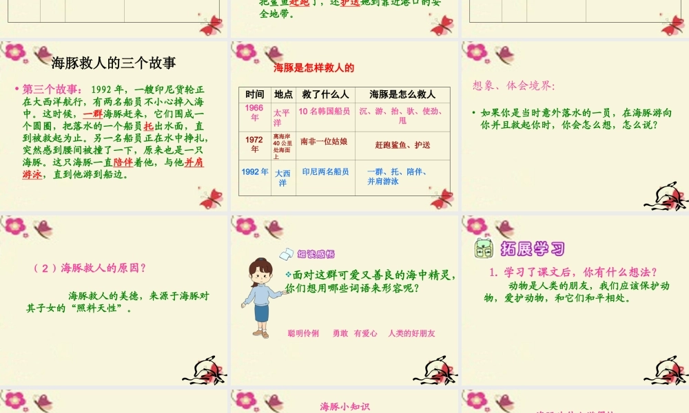 五年级语文下册 第2单元 8《海豚救人》课件8 语文S版-语文S版小学五年级下册语文课件