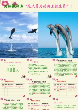 五年级语文下册 第2单元 8《海豚救人》课件8 语文S版-语文S版小学五年级下册语文课件