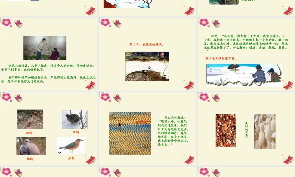 五年级语文下册 第6单元 26《少年闰土》课件6 语文S版-语文S版小学五年级下册语文课件