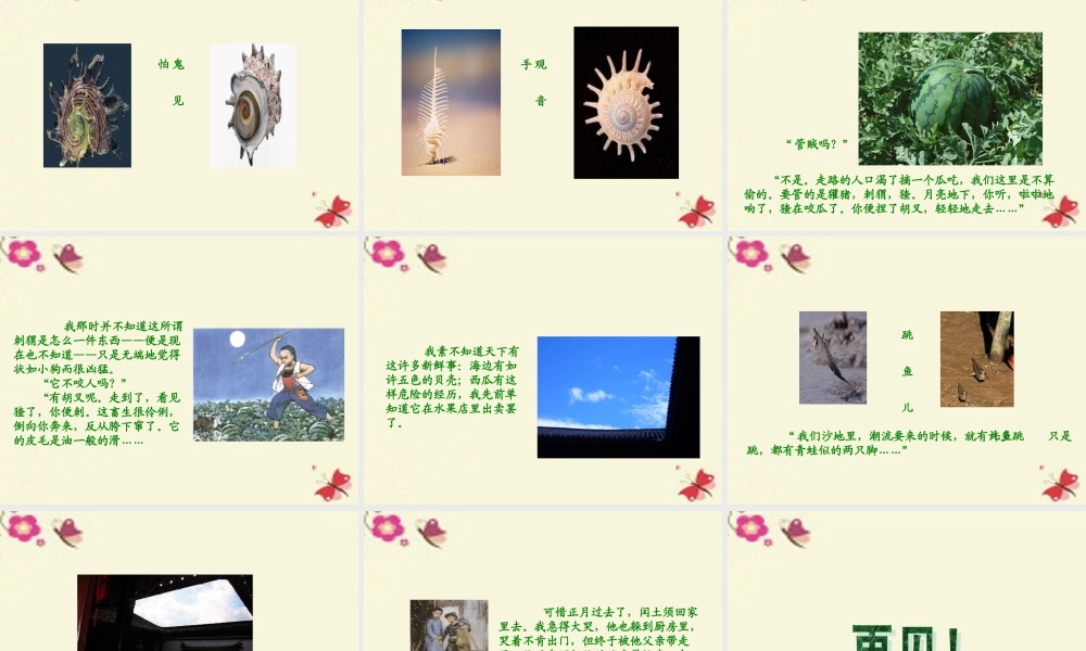 五年级语文下册 第6单元 26《少年闰土》课件6 语文S版-语文S版小学五年级下册语文课件
