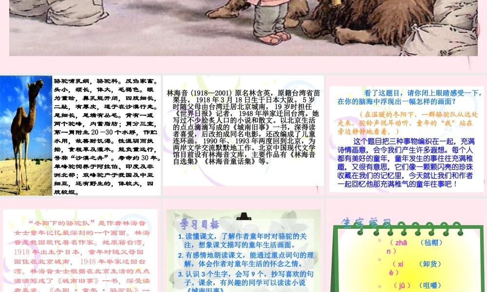 五年级语文下册 第二组 6《 骆驼队》课堂教学课件1 新人教版-新人教级下册语文课件