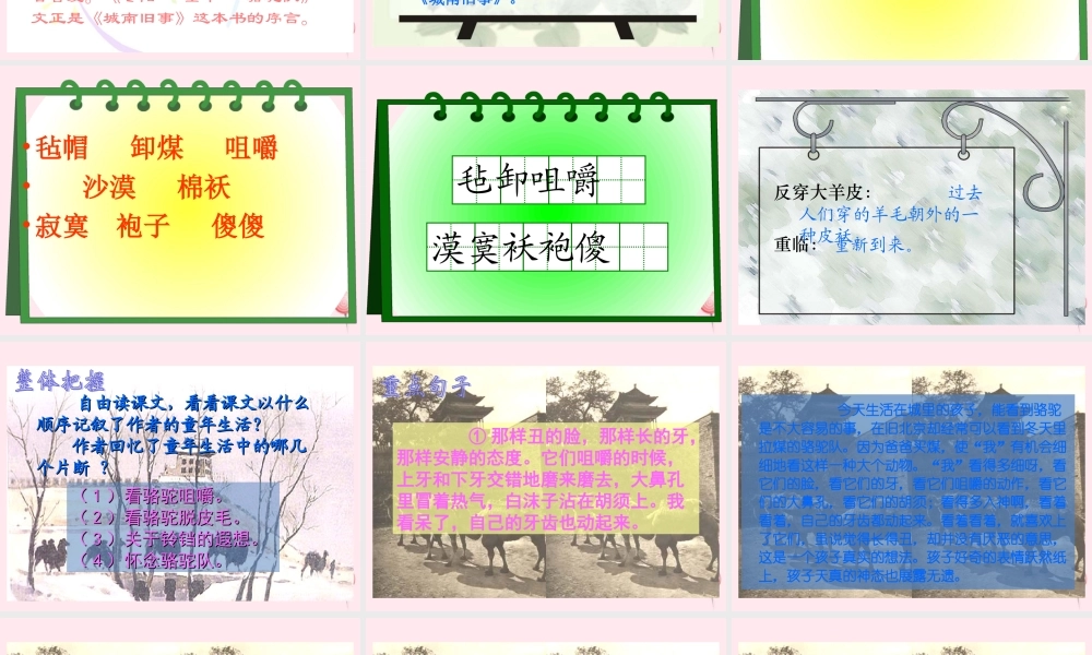五年级语文下册 第二组 6《 骆驼队》课堂教学课件1 新人教版-新人教级下册语文课件