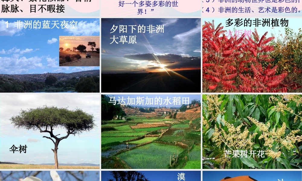 五年级语文下册 第八组 28《彩色的非洲》课件 新人教版-新人教版小学五年级下册语文课件