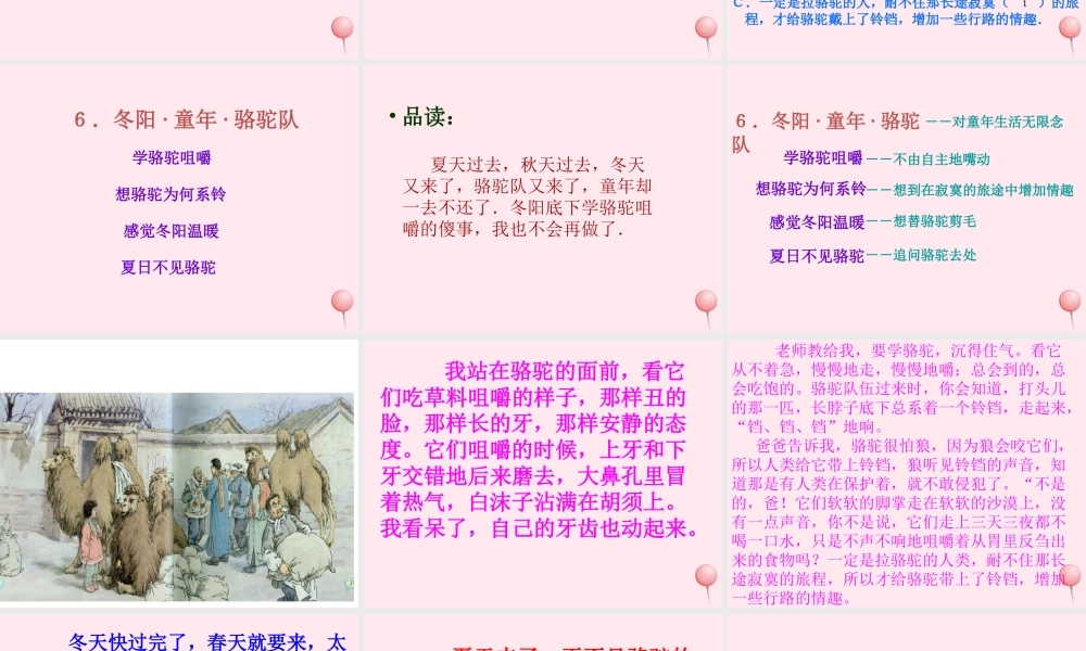 五年级语文下册 第二组 6《 骆驼队》课堂教学课件2 新人教版-新人教级下册语文课件