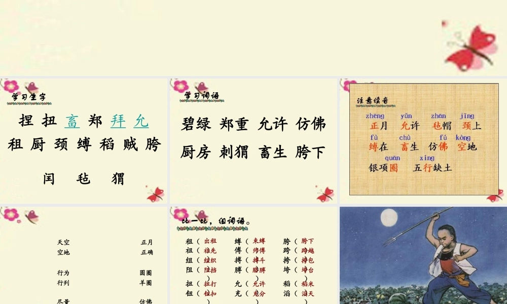 五年级语文下册 第6单元 26《少年闰土》课件8 语文S版-语文S版小学五年级下册语文课件