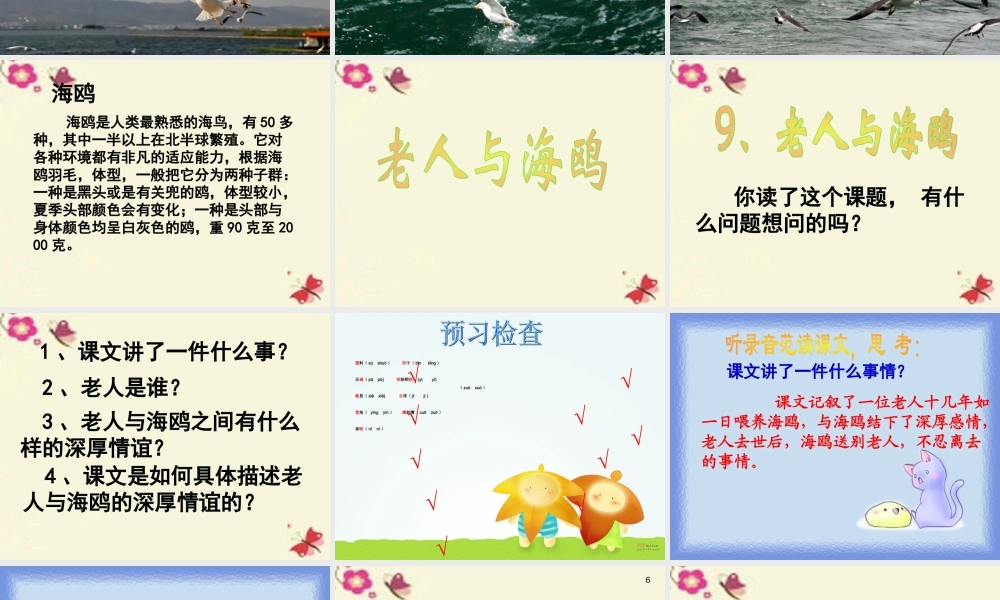 五年级语文下册 第2单元 9《老人与海鸥》课件1 语文S版-语文S版小学五年级下册语文课件