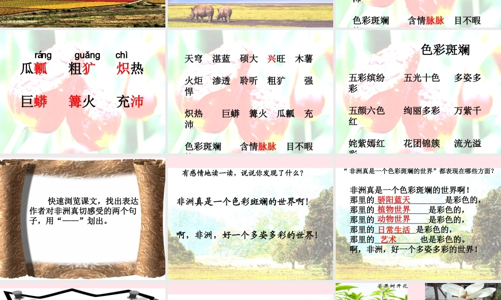 五年级语文下册 第八组 28《彩色的非洲》课堂教学课件1 新人教版-新人教版小学五年级下册语文课件