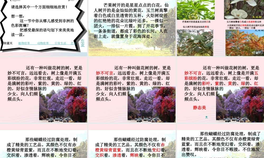 五年级语文下册 第八组 28《彩色的非洲》课堂教学课件1 新人教版-新人教版小学五年级下册语文课件