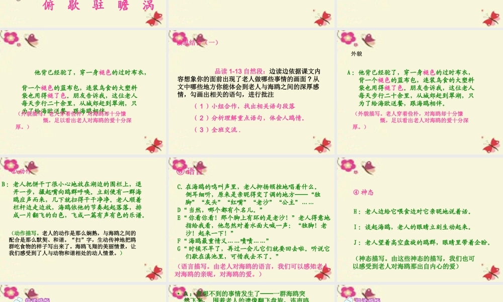 五年级语文下册 第2单元 9《老人与海鸥》课件2 语文S版-语文S版小学五年级下册语文课件