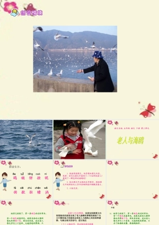 五年级语文下册 第2单元 9《老人与海鸥》课件2 语文S版-语文S版小学五年级下册语文课件