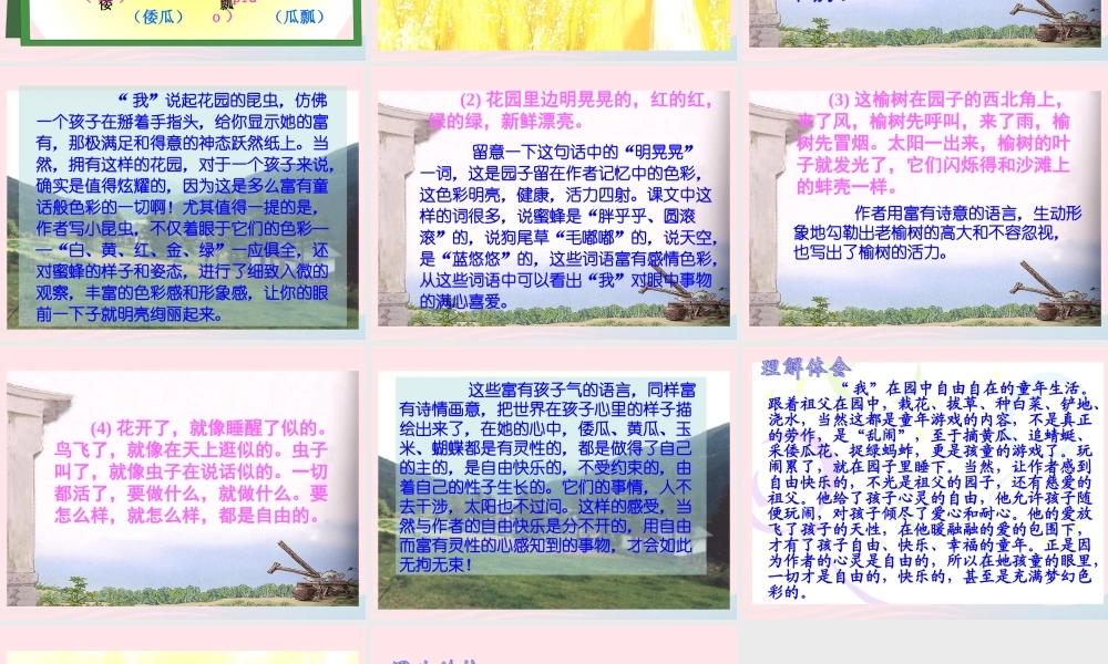 五年级语文下册 第二组 7 祖父的园子教学课件1 新人教版-新人教版小学五年级下册语文课件