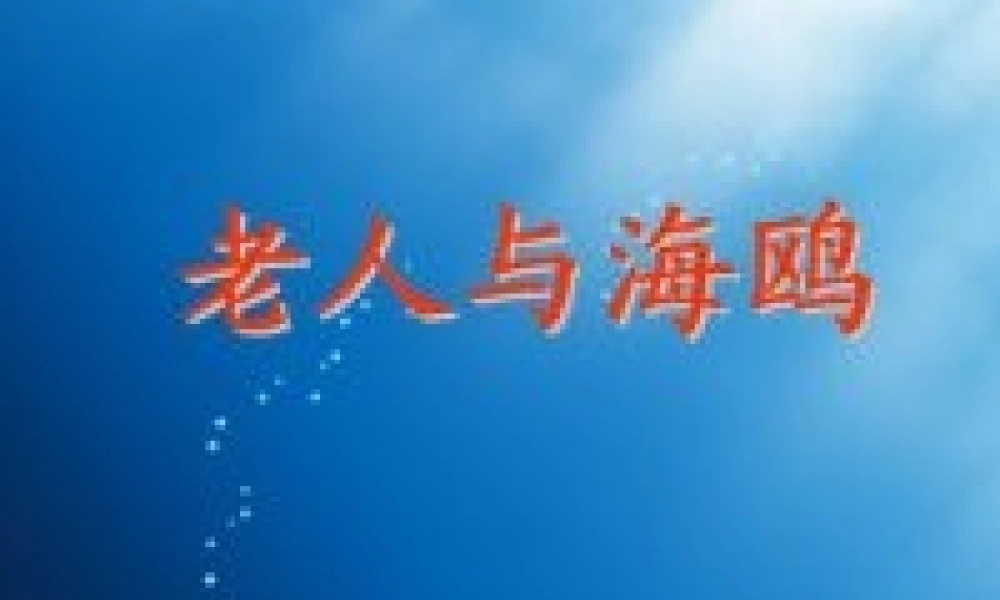 五年级语文下册 第2单元 9《老人与海鸥》课件3 语文S版-语文S版小学五年级下册语文课件