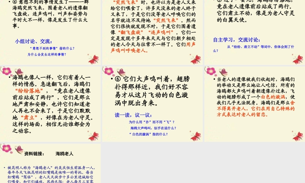 五年级语文下册 第2单元 9《老人与海鸥》课件3 语文S版-语文S版小学五年级下册语文课件