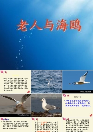 五年级语文下册 第2单元 9《老人与海鸥》课件3 语文S版-语文S版小学五年级下册语文课件