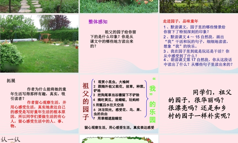 五年级语文下册 第二组 7 祖父的园子教学课件2 新人教版-新人教版小学五年级下册语文课件