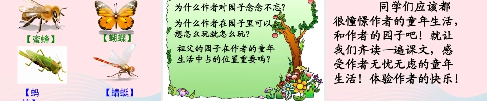 五年级语文下册 第二组 7 祖父的园子教学课件2 新人教版-新人教版小学五年级下册语文课件