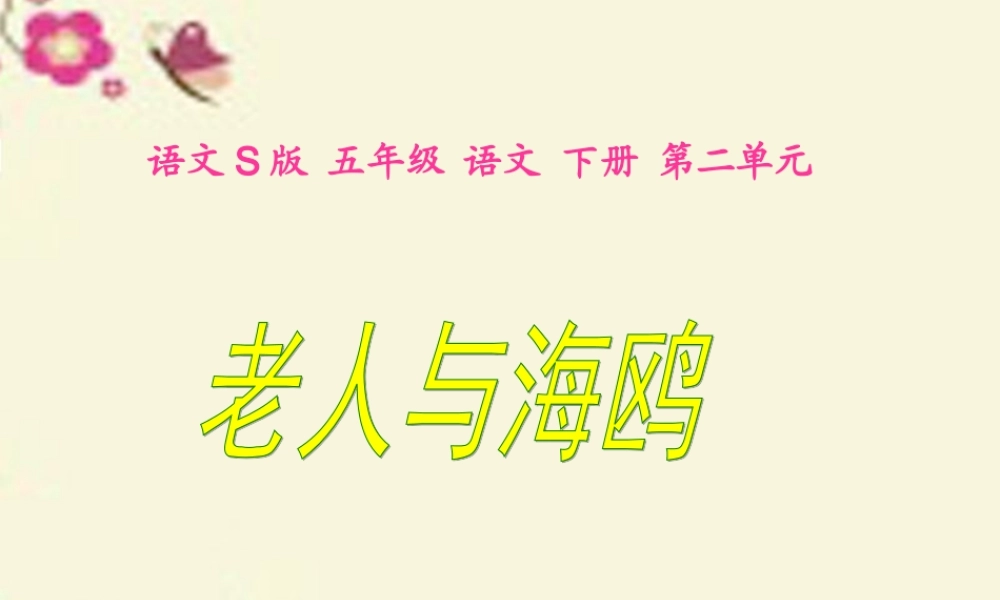 五年级语文下册 第2单元 9《老人与海鸥》课件4 语文S版-语文S版小学五年级下册语文课件