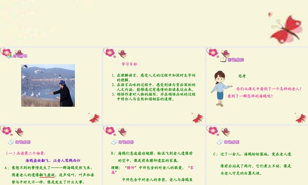 五年级语文下册 第2单元 9《老人与海鸥》课件4 语文S版-语文S版小学五年级下册语文课件