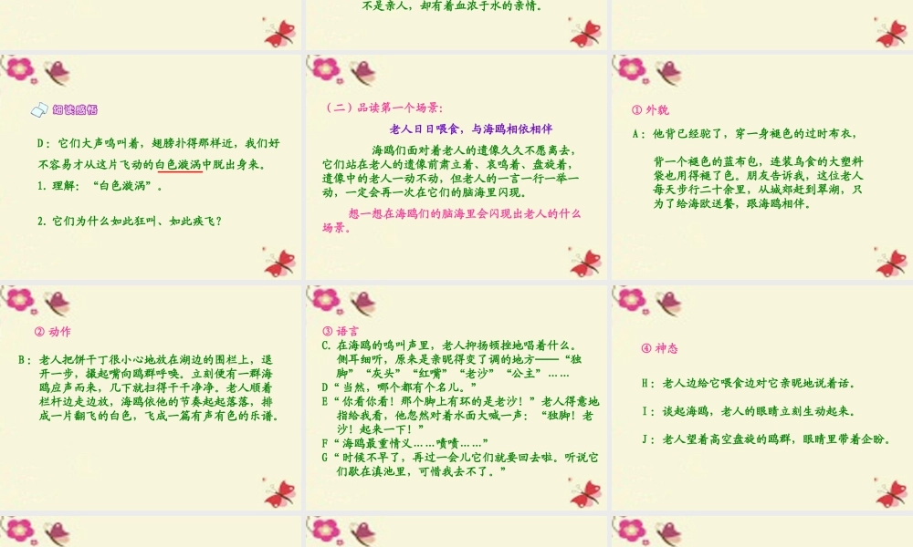 五年级语文下册 第2单元 9《老人与海鸥》课件4 语文S版-语文S版小学五年级下册语文课件