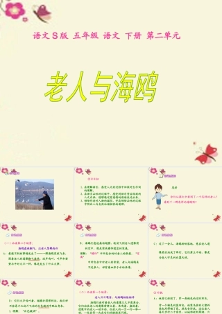 五年级语文下册 第2单元 9《老人与海鸥》课件4 语文S版-语文S版小学五年级下册语文课件