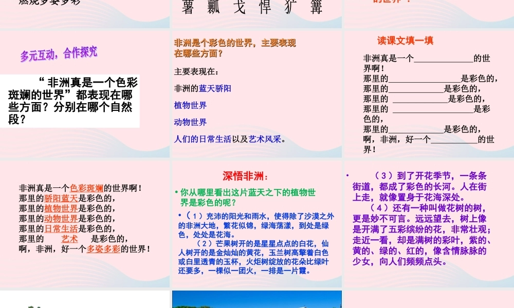 五年级语文下册 第八组 28《彩色的非洲》课堂教学课件3 新人教版-新人教版小学五年级下册语文课件