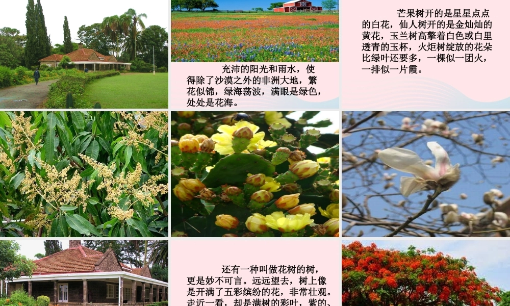 五年级语文下册 第八组 28《彩色的非洲》课堂教学课件3 新人教版-新人教版小学五年级下册语文课件