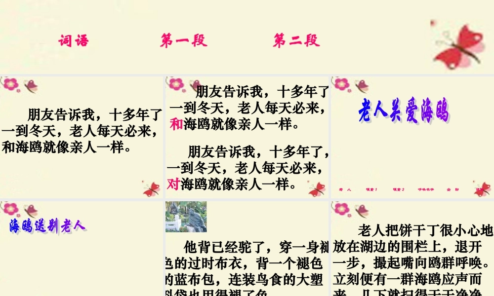 五年级语文下册 第2单元 9《老人与海鸥》课件5 语文S版-语文S版小学五年级下册语文课件