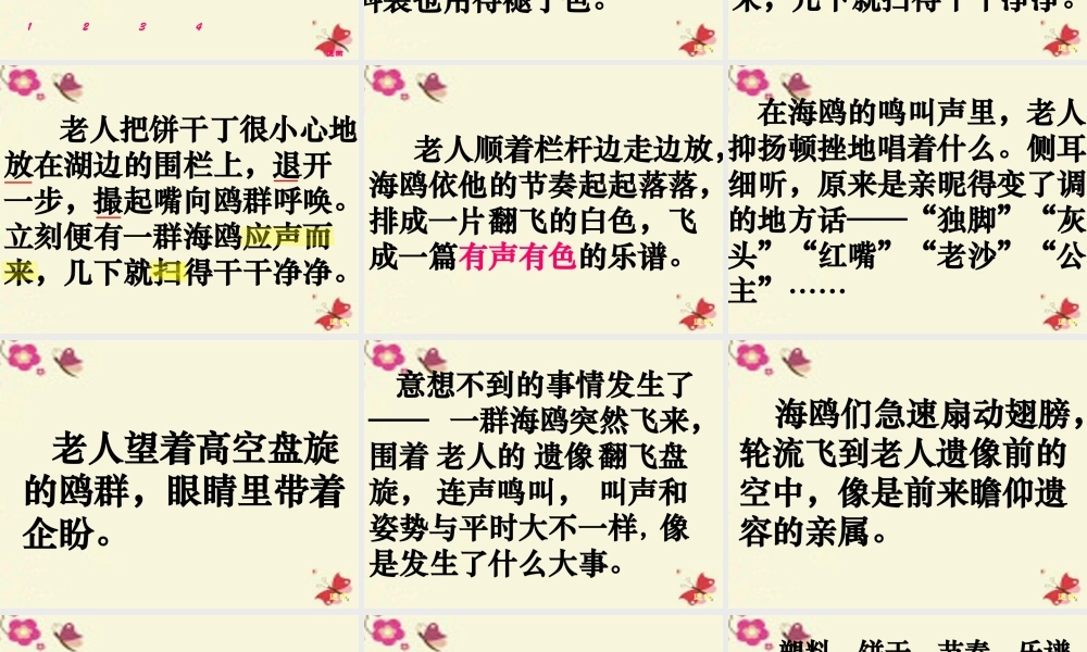 五年级语文下册 第2单元 9《老人与海鸥》课件5 语文S版-语文S版小学五年级下册语文课件