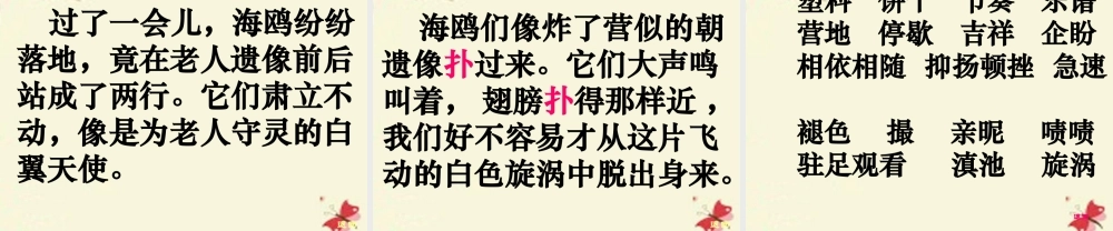 五年级语文下册 第2单元 9《老人与海鸥》课件5 语文S版-语文S版小学五年级下册语文课件